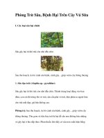 Phòng Trừ Sâu, Bệnh Hại Trên Cây Vú Sữa pdf