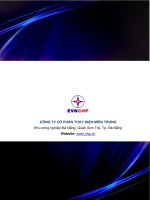 báo cáo thường niên 2013 công ty cổ phần thủy điện miền trung