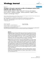 Báo cáo hóa học: 