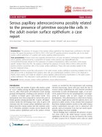 báo cáo hóa học: