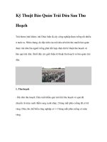 Kỹ Thuật Bảo Quản Trái Dứa Sau Thu Hoạch ppt