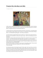 Truyện Cây cầu được ước thấy pptx