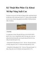 Kỹ Thuật Bón Phân Cây Khoai Mì Đạt Năng Suất Cao pptx