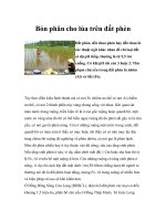 Bón phân cho lúa trên đất phèn pptx