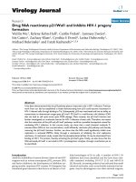 Báo cáo hóa học: 