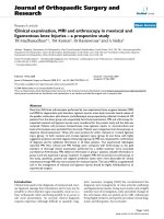 báo cáo hóa học: