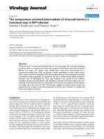 Báo cáo hóa học: 