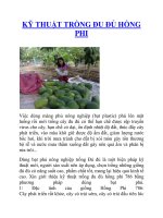 KỸ THUẬT TRỒNG ĐU ĐỦ HỒNG PHI docx