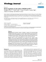 Báo cáo hóa học: 