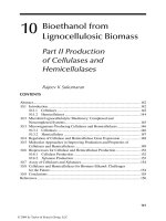 Handbook of plant based biofuels - Chapter 10 docx