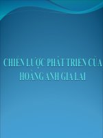 Phân tích chiến lược phát triển của hoàng anh gia lai