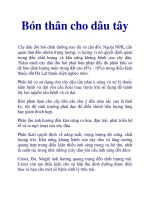 Bón thân cho dâu tây pptx
