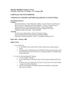 Project Progress Report: 