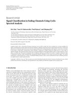 Báo cáo hóa học: 