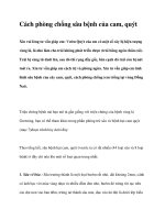 Cách phòng chống sâu bệnh của cam, quýt pdf