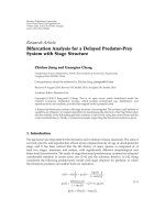 báo cáo hóa học: