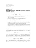 Báo cáo hóa học: 