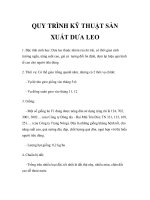 QUY TRÌNH KỸ THUẬT SẢN XUẤT DƯA LEO pptx