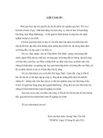 Chuyên đề tốt nghiệp: Giải pháp hoàn thiện hoạt động bán hàng cá nhân sản phẩm rượu của công ty Phú  EM