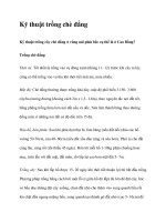 Kỹ thuật trồng chè đắng potx