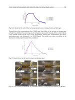 Magnetic Bearings Theory and Applications Part 12 potx