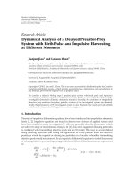 báo cáo hóa học: