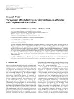 Báo cáo hóa học: 