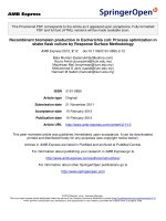 báo cáo hóa học: