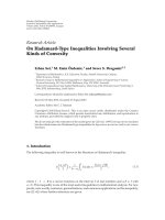 Báo cáo hóa học: 