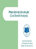 Tổng quan về phân tích chi phí pdf