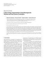 Báo cáo hóa học: 