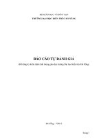 BÁO CÁO TỰ ĐÁNH GIÁ (Để đăng ký kiểm định chất lượng giáo dục trường Đại học Kiến trúc Đà Nẵng)