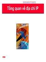 Tổng quan về địa chỉ IP doc