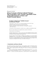 báo cáo hóa học: