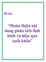 Đề tài: “Hoàn thiện nội dung phân tích tình hình và hiệu quả xuất khẩu” pot