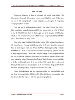 nghiên cứu cấu trúc hsdpa và ứng dụng vào mạng di động thế hệ thứ 3g