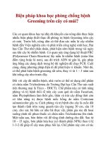 Biện pháp khoa học phòng chống bệnh Greening trên cây có múi? ppt