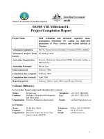 Project Progress Report: