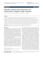 Báo cáo hóa học: 