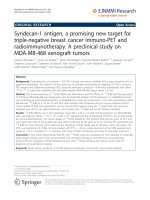 báo cáo hóa học: 