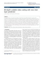 báo cáo hóa học: 