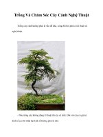 Trồng Và Chăm Sóc Cây Cảnh Nghệ Thuật pdf