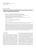 báo cáo hóa học: