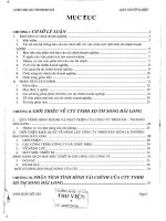 Phân tích báo cáo tài chính tại công ty TNHH xây dựng thương mại Song Hải Long