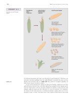 Demonstration problem barfield raiborn kinney cost accounting_6 docx