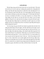 Tiểu luận Thương Mại Quốc tế Cơ hội và thách thức của các doanh nghiệp Việt Nam khi gia nhập Asean.