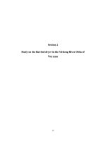 Section 2: Study on the flat-bed dryer in the Mekong River Delta of Viet Nam pptx