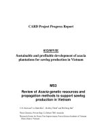 Card Project Progress Report: