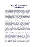 Bệnh thối đỏ hại mía và cách phòng trị docx