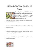 10 Nguyên Tắc Vàng Của Who Về Vsattp doc